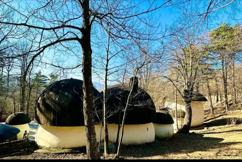 Il Villaggio Dei Puffi 바르디네토 외부 사진
