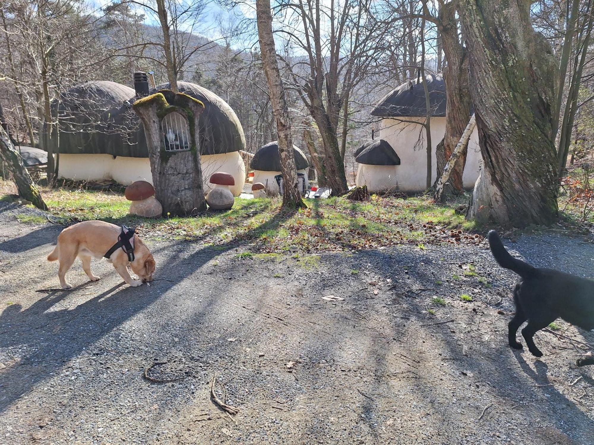 Il Villaggio Dei Puffi 바르디네토 외부 사진